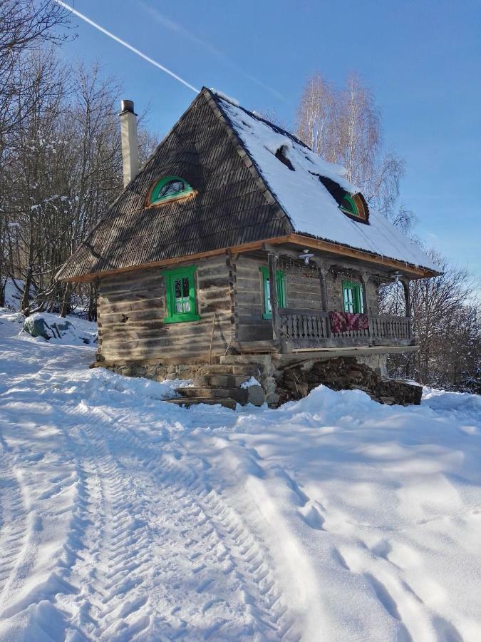 Pensjonat Casa Glod Glod  Zewnętrze zdjęcie