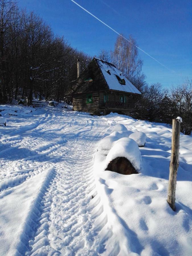 Pensjonat Casa Glod Glod  Zewnętrze zdjęcie