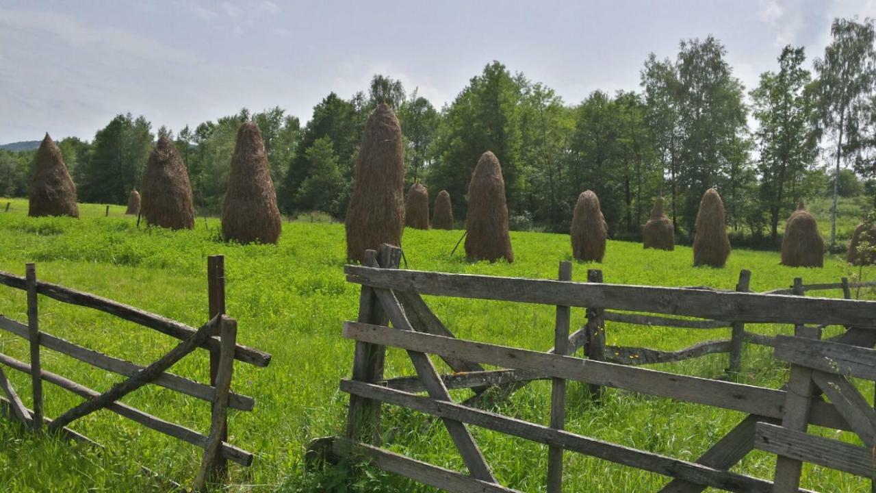 Pensjonat Casa Glod Glod  Zewnętrze zdjęcie