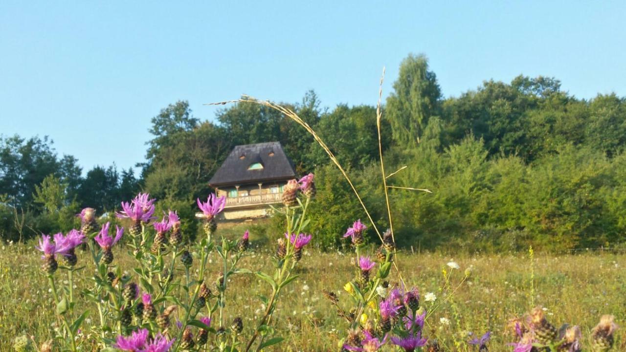 Pensjonat Casa Glod Glod  Zewnętrze zdjęcie