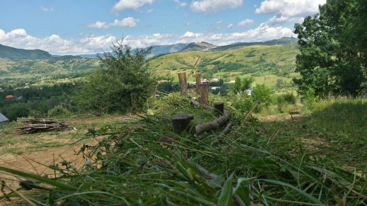 Pensjonat Casa Glod Glod  Zewnętrze zdjęcie