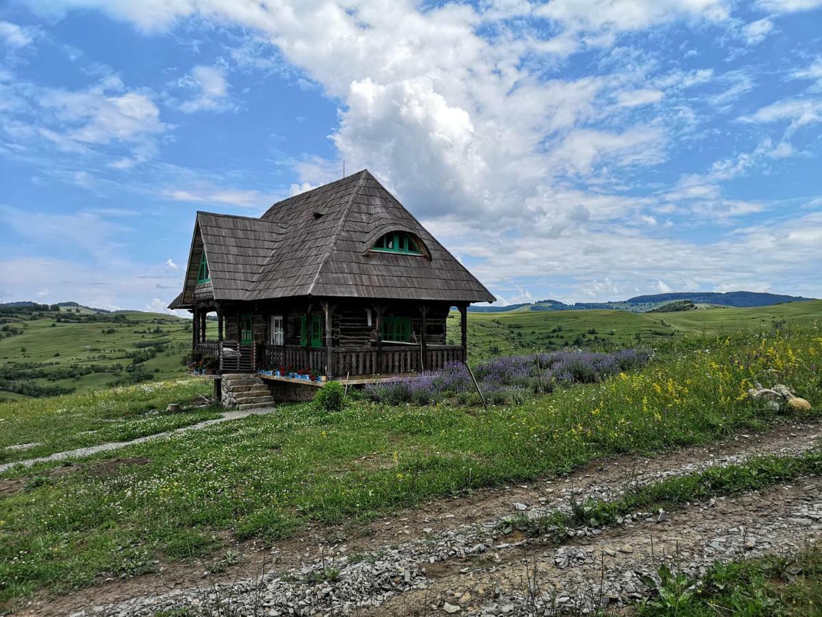 Pensjonat Casa Glod Glod  Zewnętrze zdjęcie