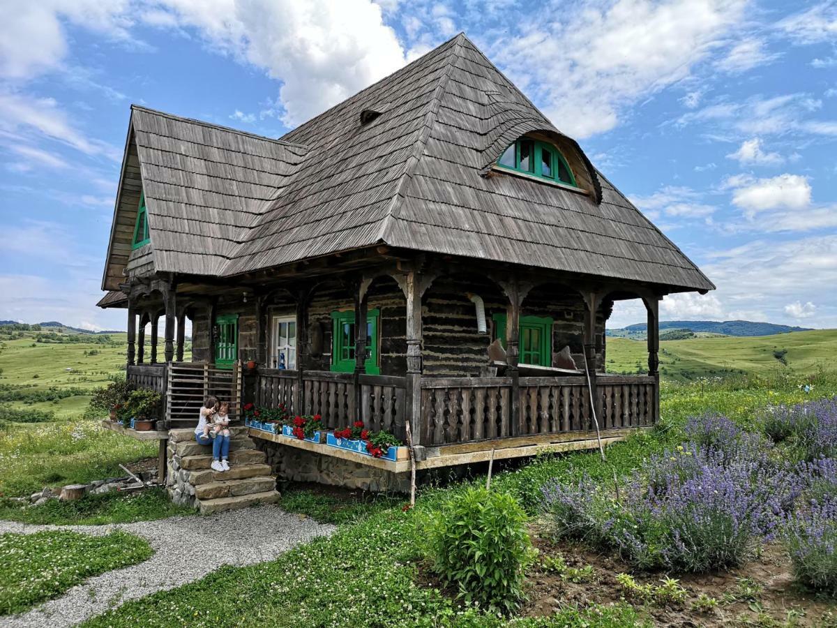 Pensjonat Casa Glod Glod  Zewnętrze zdjęcie