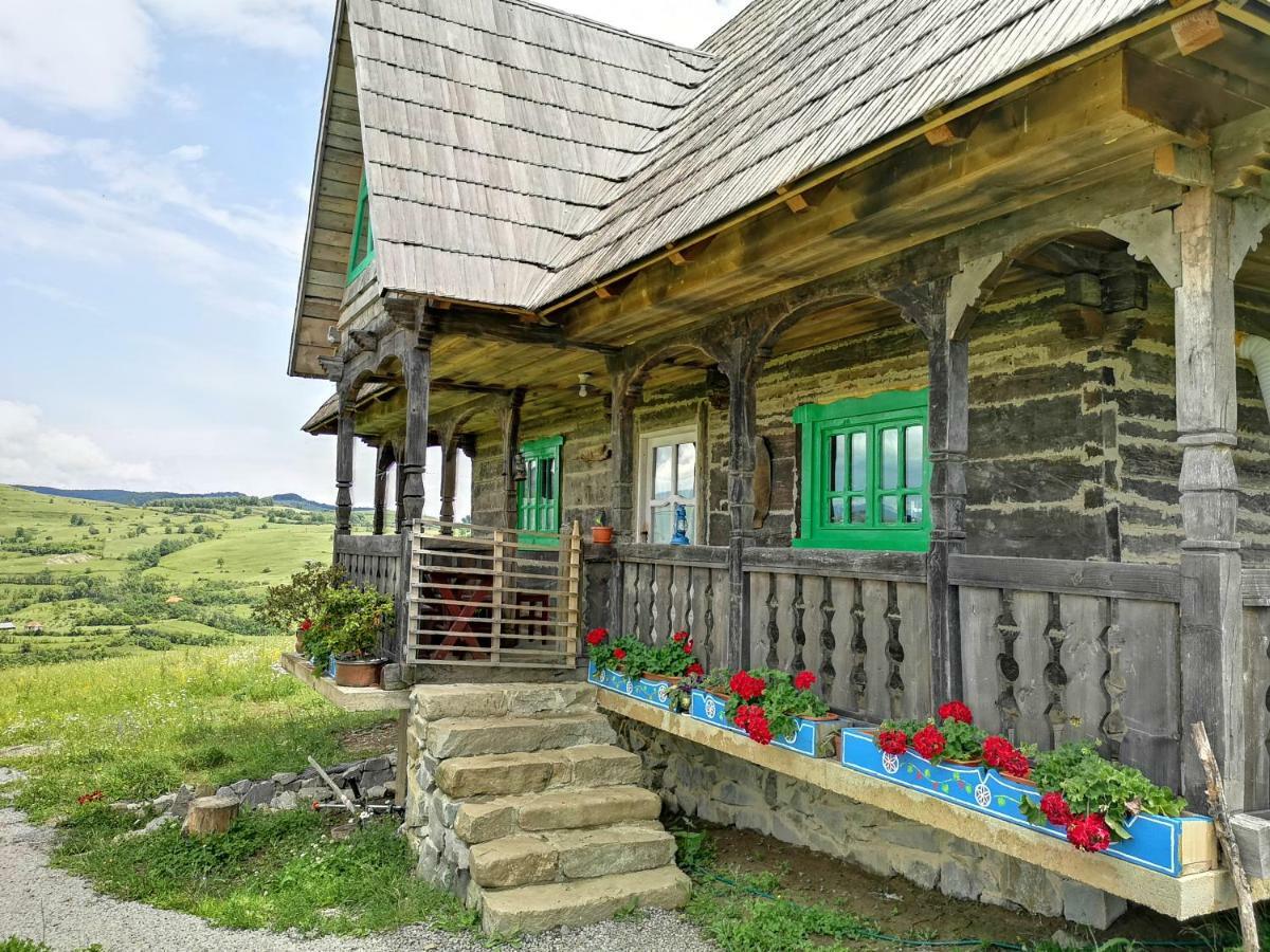 Pensjonat Casa Glod Glod  Zewnętrze zdjęcie