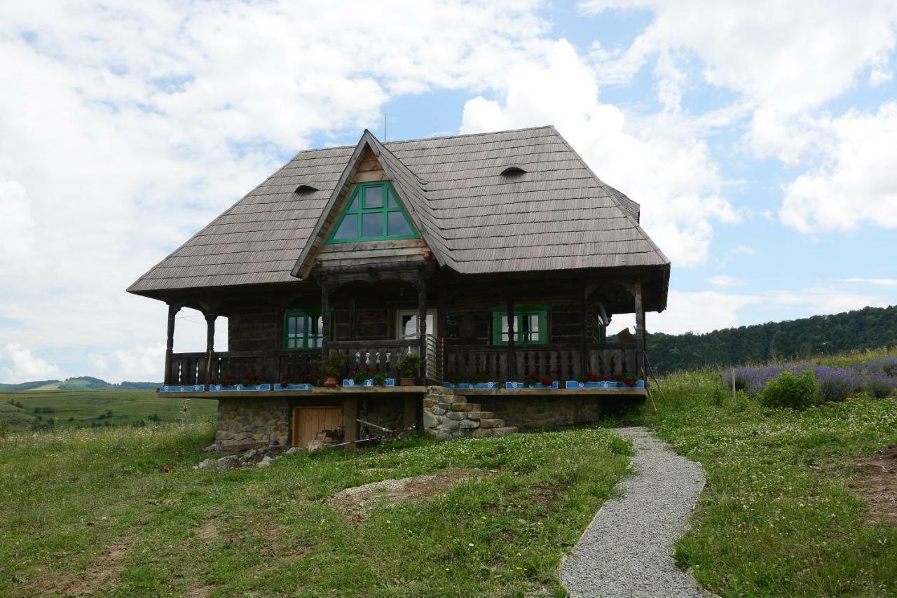 Pensjonat Casa Glod Glod  Zewnętrze zdjęcie